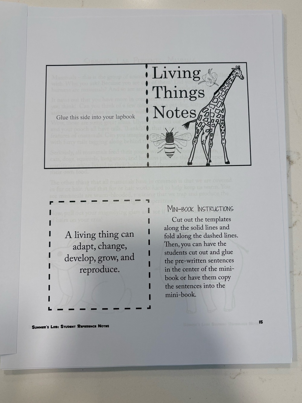 Summers Lab Learning Notes - Picture 5 of 9